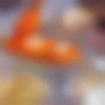 Dispositivo per ravioli 2in1 | DUMPLINGER