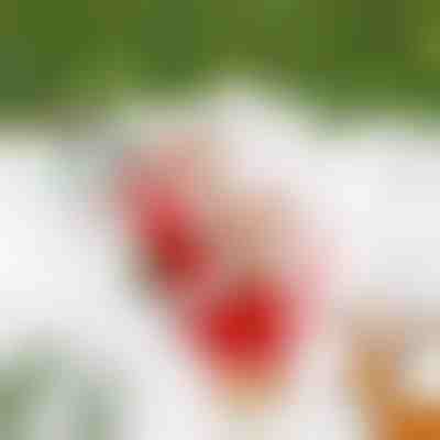 Babbo Natale scalatore SANTACLIMB