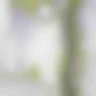 Fiori artificiali di glicine | WISBLOOM