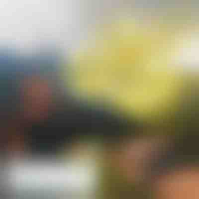 Mini drone a azionamento manuale FLASH