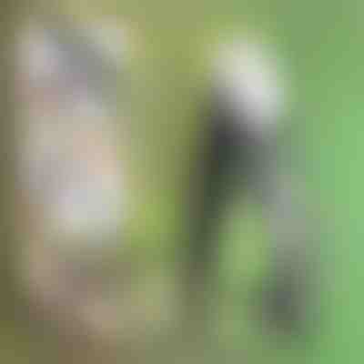 Sega a mano pieghevole con lame in carbonio | OSAW