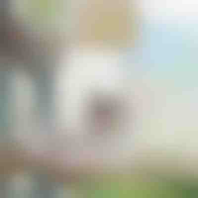 Amaca pensile per gatti e cani di piccola taglia | PURRPAD