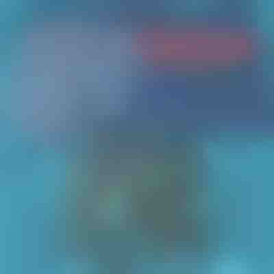 Pantaloncini da bagno ad asciugatura rapida | TOGGIES