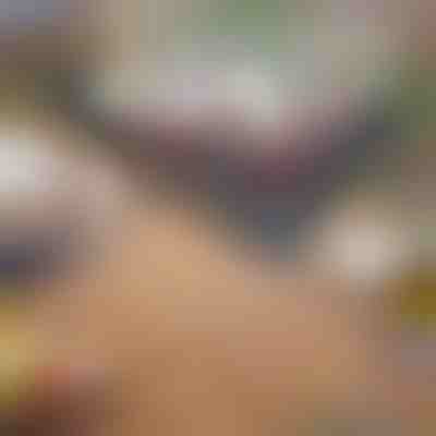 Griglia a carbone portatile | GRILLOMATE