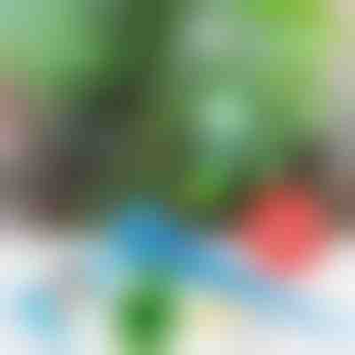 SET DI 8 PEZZI PER L'IRRIGAZIONE A GOCCIA | PLANTDROPS 8+8 GRATIS