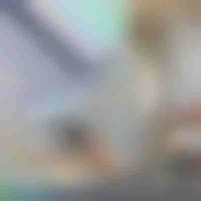 Pellicola per finestre decorativa e protettiva della privacy | PRISMWRAP