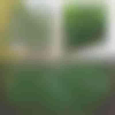 Recinzione decorativa e pratica per terrazza e giardino | GREENFENCE