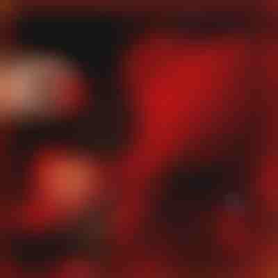 Il regalo che parla d'amore | LOVEBEAR