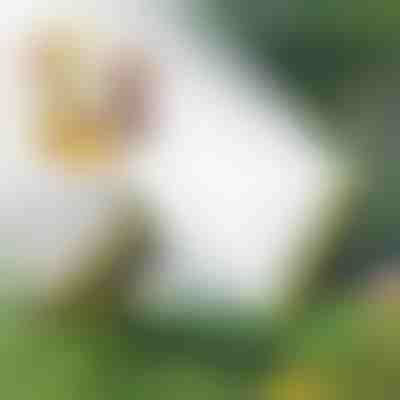 Irrigatore a testa multipla | SPRAYMASTER