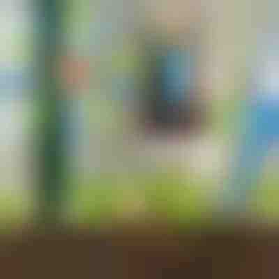 SET DI 8 PEZZI PER L'IRRIGAZIONE A GOCCIA | PLANTDROPS