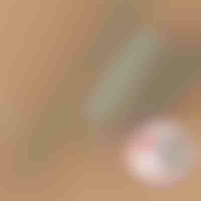 ARTICLEAN + ARTIMICRO GRATIS