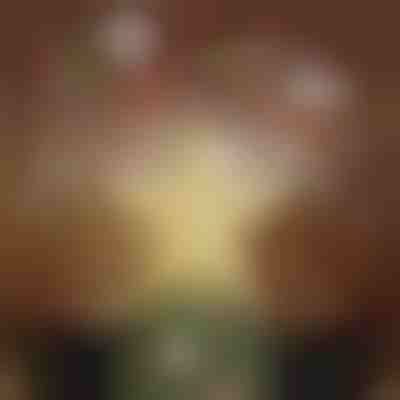 Proiettore per punta dell'albero di Natale | FLAKELITE