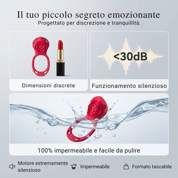 AMORA-3831127629396-IT-5__130126