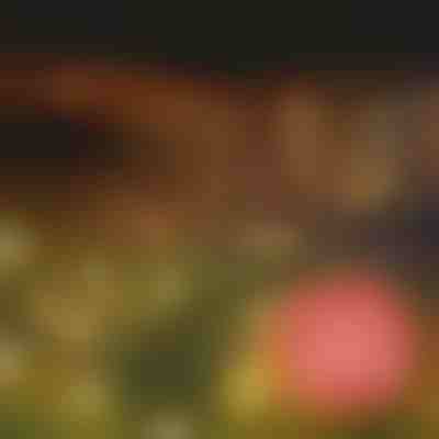 Luci solari da giardino (luce calda) | SOMPEX 1+1 GRATIS