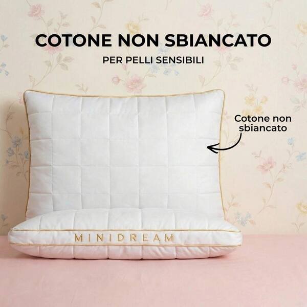 MINIDREAM-3831127599472-IT-5__070926